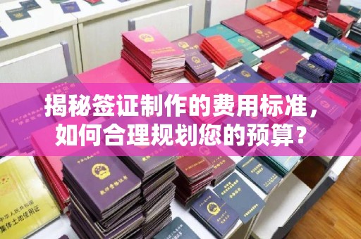 三江揭秘签证制作的费用标准，如何合理规划您的预算？